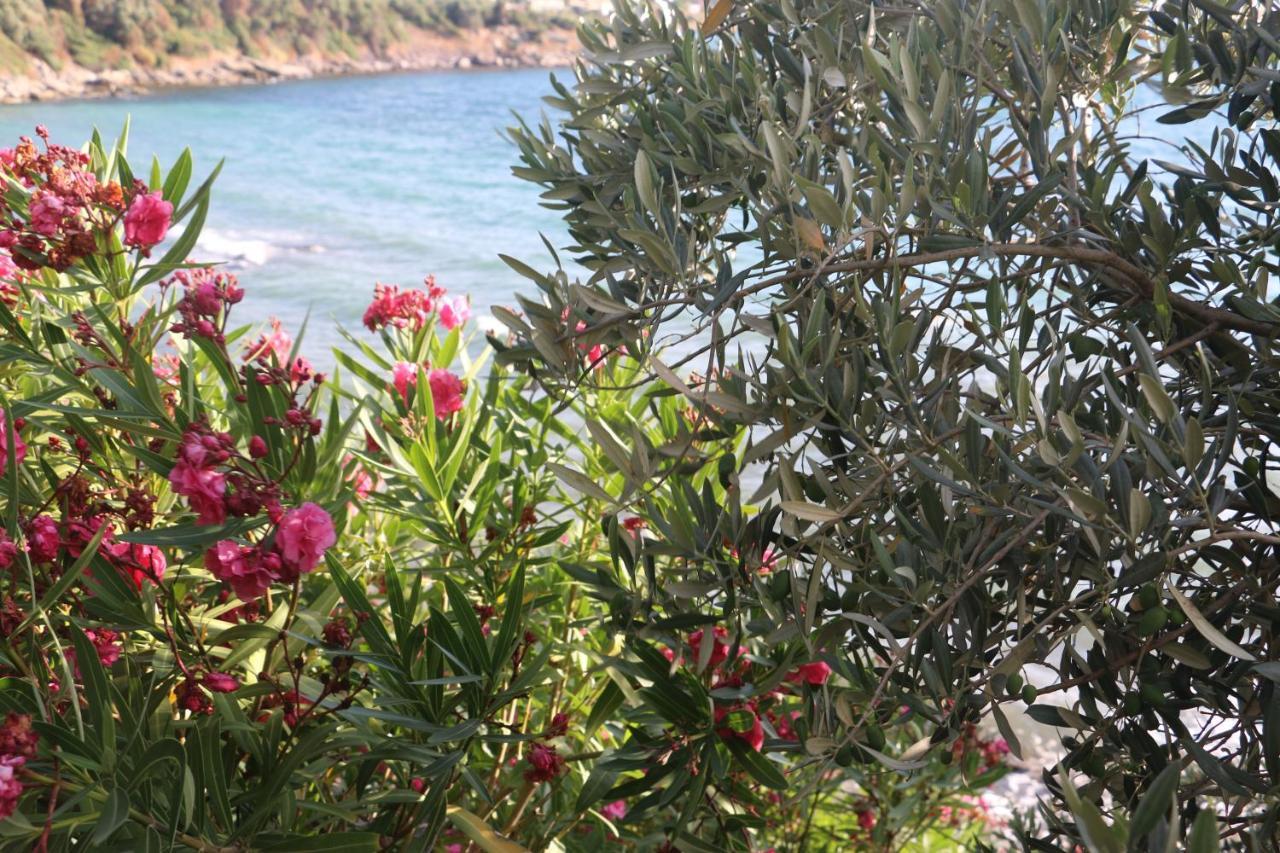 Urga Butik Otel & Restaurant غولوك المظهر الخارجي الصورة