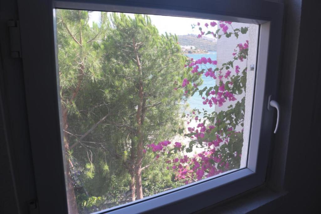 Urga Butik Otel & Restaurant غولوك المظهر الخارجي الصورة